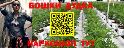 дурь Будённовск