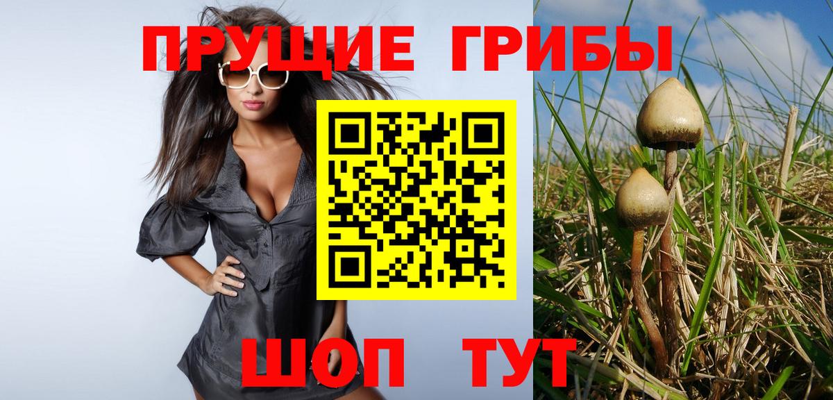 Сальск  Псилоцибиновые грибы мухоморы  продажа наркотиков  Вход с VPN 