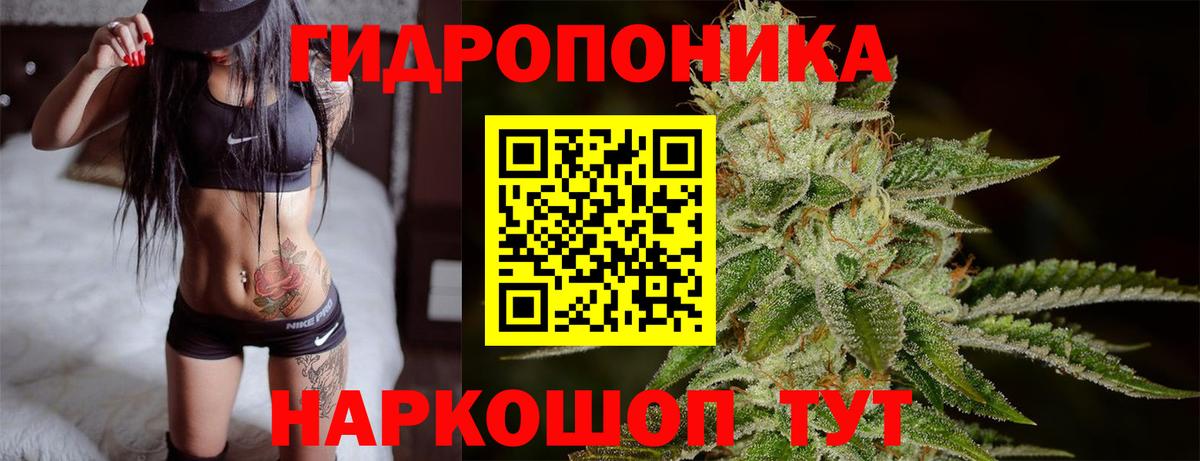 Бошки Шишки White Widow Сальск